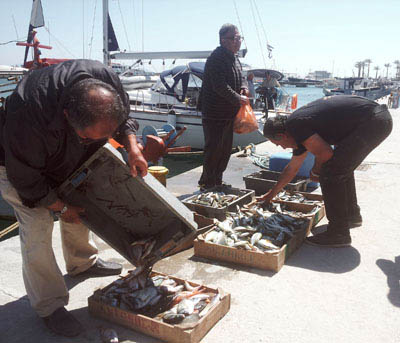 Fischer im Hafen Ios - Verkauf von der Mole