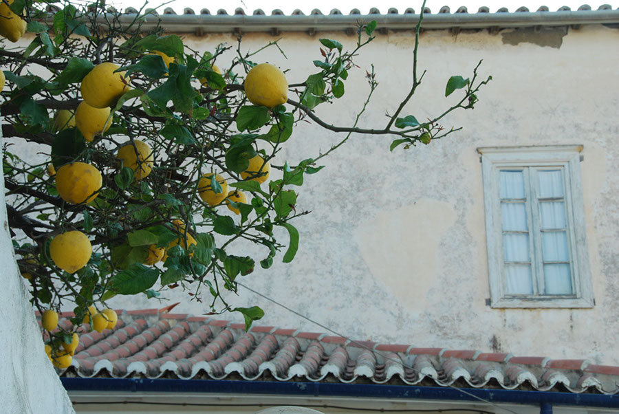 Lageschieber 2011_058
