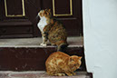 Lageschieber 2011_049