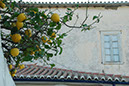 Lageschieber 2011_058