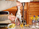Lageschieber 2011_117