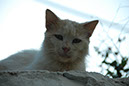 Lageschieber 2011_057
