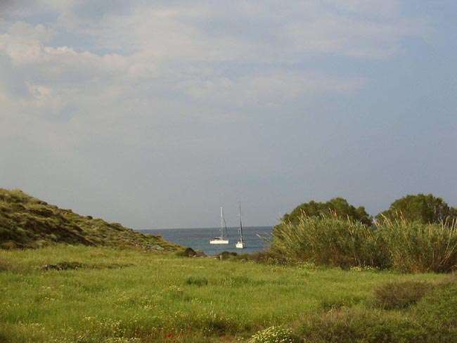 Kopie
